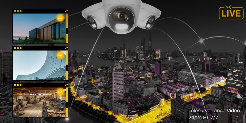 Système de sécurité : alarmes, vidéosurveillance et détecteurs de mouvement